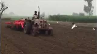 Mahindra B 275 Di with 20 harrow