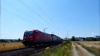 Züge in Niederwalluf: Vectron, 185, vias