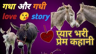 गधा गधी की प्रेम कहानी #funny #trending #comedyfilms #comedy #viralvideo