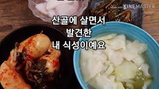 맛있는 수제비