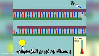 RT-PCR  چگونه با پروب کار میکند