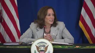 Kamala Harris thanks Zambian business leaders for "combining our resources, both intellectual #usa