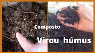 Como  saber quando o composto virou  húmus?