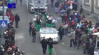 Rosenmontagszug 2015 in Neunkirchen