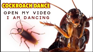 COCKROACH DANCE /LIVE DANCE /COFFIN DANCE 2021