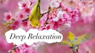 Music for relaxation