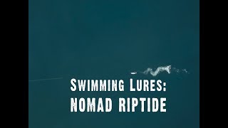 Swimming Lures - Nomad Design Riptide