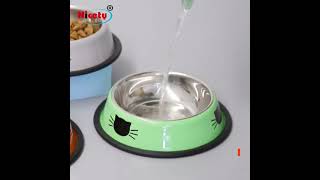 cat food bowl