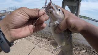 Fishing OHIO River 8-11-19