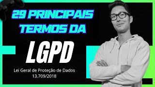 OS 29 PRINCIPAIS TERMOS DA LEI GERAL DE PROTEÇÃO DE DADOS - LGPD - Lei 13.709/2018