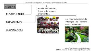 Historia e mercado