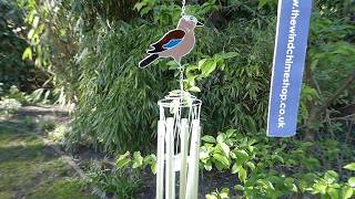 British Birds:  Jay Wind Chime