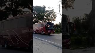 Bus Medan Jaya #shorts #busmedanjaya #ayonaikbus