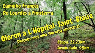 Dia 04 Caminho de Santiago - De Oloron a L'Hôpital Saint Blaise (Caminho Francês)