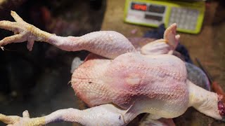 See How The Chicken Cuts With Amazing Skill | Super Fast Chicken Cutting Skills | Cutting Video