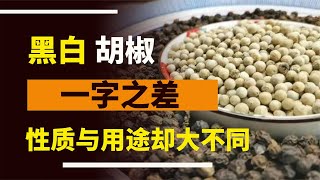 黑胡椒和白胡椒一字之差，但性質和用途卻完全不同