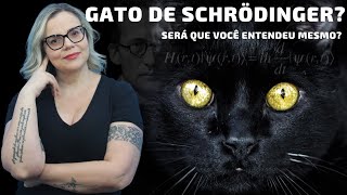 O que o Gato de SCHRÖDINGER  superposição  e ENTRELAÇAMENTO tem em comum?