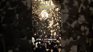 moula ali sahadat short video 😭🙌#viral #yaali #karbala