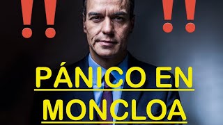 🛑MUY URGENTE ‼️ ÚLTIMA HORA 🛑PEDRO SÁNCHEZ ATAQUE BRUTAL EN PÁNICO !!!