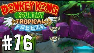 Donkey Kong Country: Tropical Freeze - Episode 16 [Het Ijs Naderen]