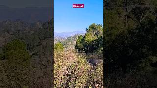 Himachal #shorts #short #youtubeshorts #shortsvideo #subscribe #viralshort #instagram #trending #4k