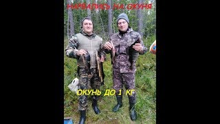 Напоролись на крупного окуня! Бешеный клев окуня и щуки! Рыбалка в Карелии.