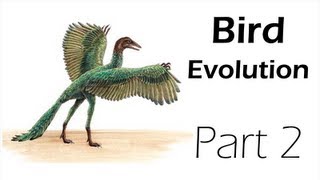 Dismantling Bird Evolution HD - Part 2 of 3