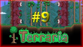 Terraria 1.4 Melee Playthrough - Wall of Flesh - Episodul 9