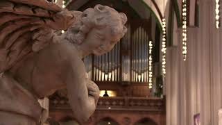 Konzert zum zweiten Advent (2020) | Museum Nikolaikirche