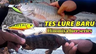 TES LURE HINOMIYA SERIES | ULTRALIGHT FISHING