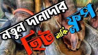 কিভাবে গরুকে দানাদার খাবার খাওয়াই || নতুন ফর্মূলার দানাদার খাবার || Purbasha Agro