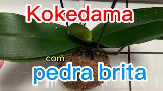 Kokedama com pedra brita dá certo?