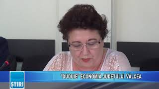 "DUDUIE" ECONOMIA JUDEȚULUI VÂLCEA