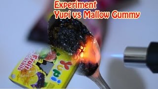 Experiment Permen Yupi  vs  Mallow Gummy