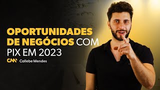 PIX 2023: OPORTUNIDADES DE NEGÓCIOS