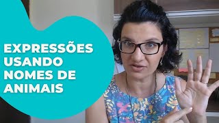 4 expressões em inglês usando nomes de animais!