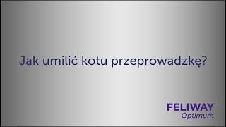 Przeprowadzka z kotem? Zobacz, o czym pamiętać | FELIWAY Optimum