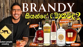 What is the brandy | මොනවද මේ brandy කියන්නේ | Armagnac | cognac | pisco | grappa | calvados