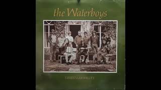 THE WATERBOYS - WORLD PARTY A-4 (1988)