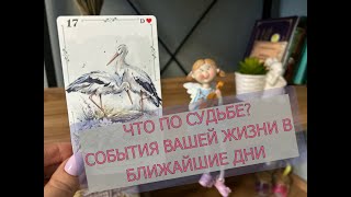 🔮СОБЫТИЯ ПО СУДЬБЕ ✨ЧТО ВОТ ВОТ ВОЙДЕТ В ВАШУ ЖИЗНЬ❓