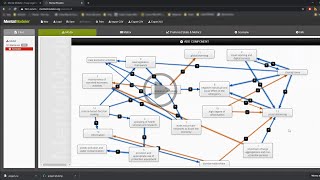 Steps of Fuzzy Cognitive Mapping