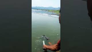 Mancing Jatigede‼️🫠 Mantap Badot Naik Dirakit Bah Oman#shots