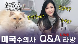 미국수의사의 2021년 첫 라방! Q&A