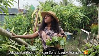 Lomba Vlog Tim Penggerak PKK! Lumbung Pangan Sehat di Pekarangan RumahKu!