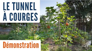 Créer votre tunnel à courges : explication rapide