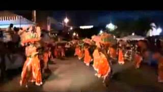 Carnaval de petit bourg 13 01 2008 part1