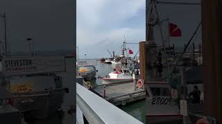 Steveston Fisherman’s Wharf #seafood  #seaurchin #tuna #shrimps #beta #trending #viral #shorts