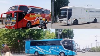 PESONA PANTURA | Hunting Bus sugeng Rahayu ,COYO , sinar express jalur Pantura Pemalang