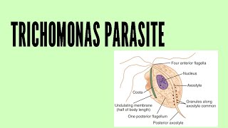 TRICHOMONAS