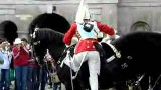 Horse Guard